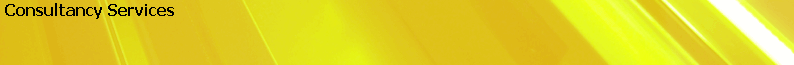 Consultancy Services