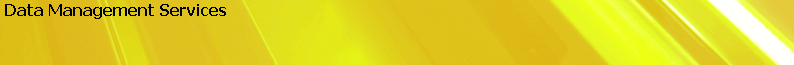 Data Management Services