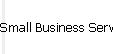 Small Business Services
